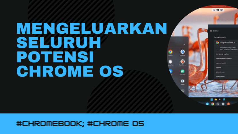 Mengeluarkan seluruh potensi Chrome OS